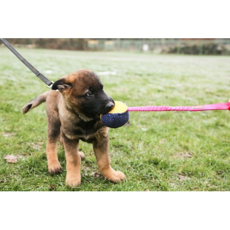 Minge expander material francez caini