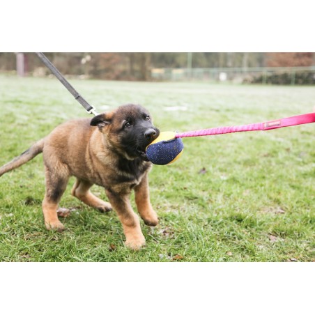 Minge expander material francez caini