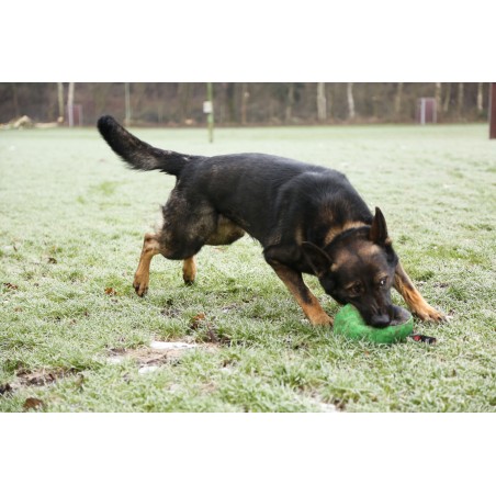 Minge material francez caine