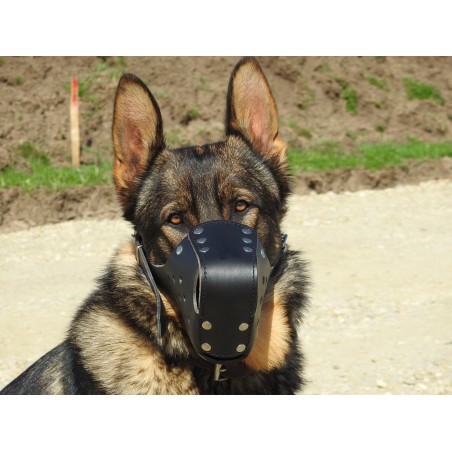 Botnita profesionala piele  Malinois & Ciobanesc German