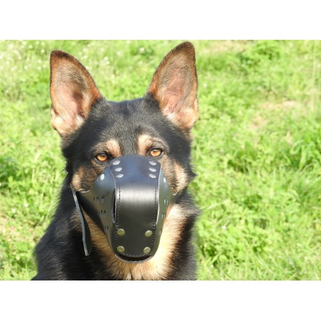 Botnita profesionala piele  Malinois & Ciobanesc German