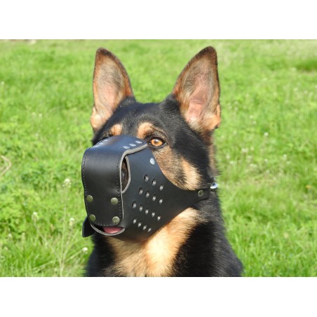 Botnita profesionala piele  Malinois & Ciobanesc German