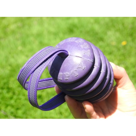 Jucarie interactiva caini