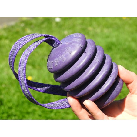 Jucarie interactiva caini