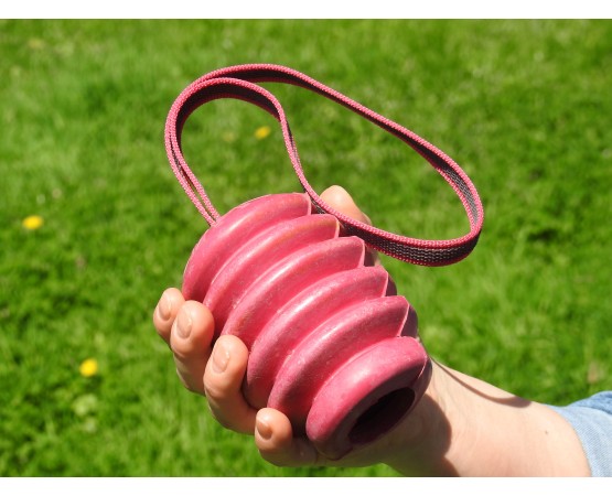 Jucarie interactiva caini