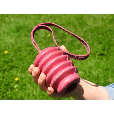 Jucarie interactiva caini