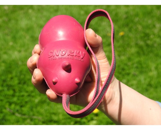 Jucarie interactiva caini Snorkey