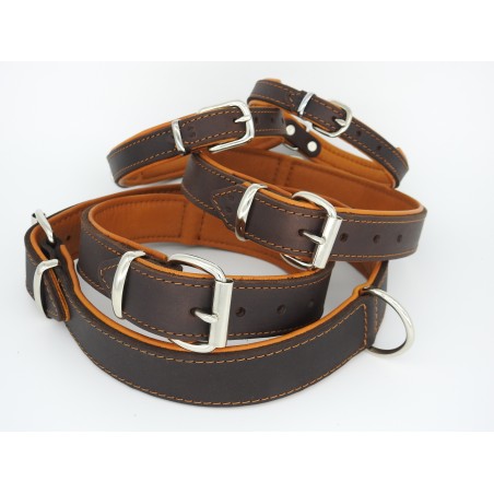 Zgardă de lux pentru caini , din piele naturala