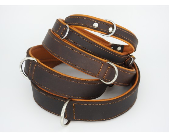 Zgardă de lux pentru caini , din piele naturala