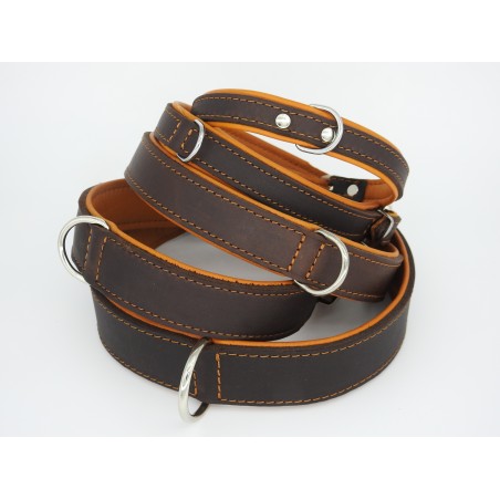 Zgardă de lux pentru caini , din piele naturala