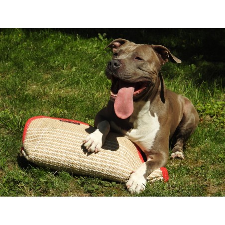 Manson scurt profesional dresaj iuta