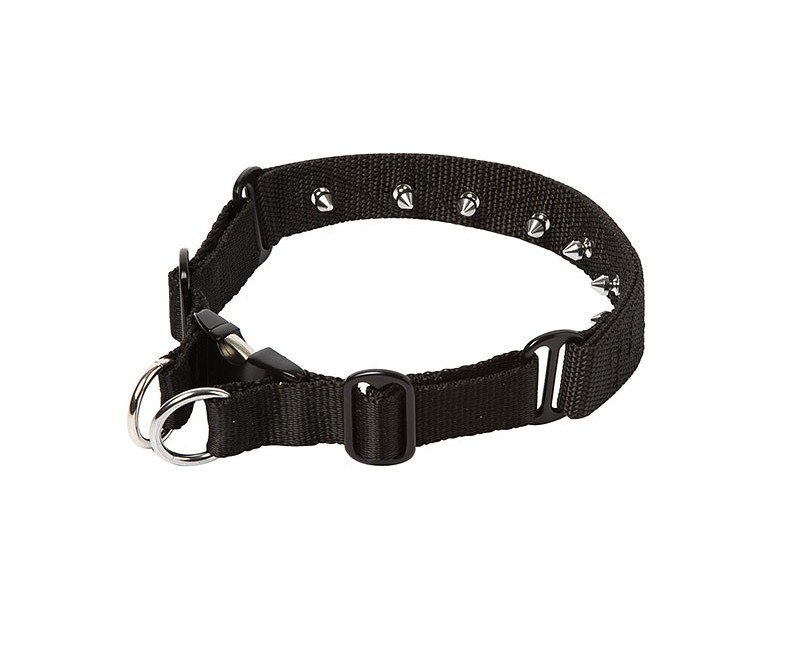 Zgarda pentru dresaj