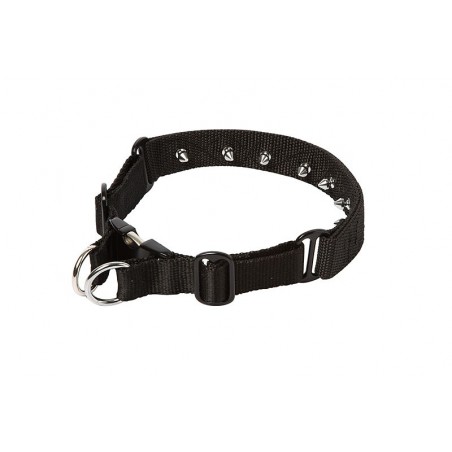 Zgarda pentru dresaj