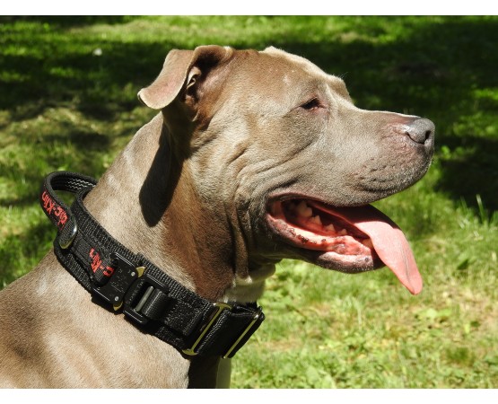 Zgarda lata cu maner prevazuta cu sistem de prindere Cobra