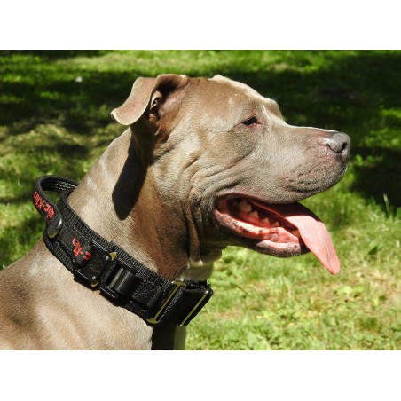 Zgarda lata cu maner prevazuta cu sistem de prindere Cobra