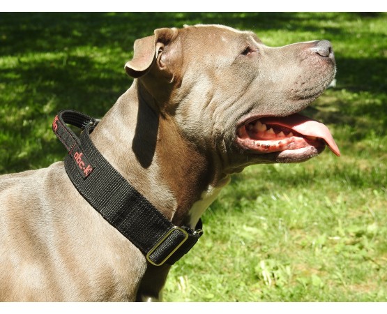 Zgarda lata cu maner prevazuta cu sistem de prindere Cobra