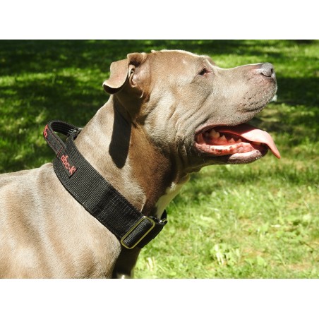 Zgarda lata cu maner prevazuta cu sistem de prindere Cobra