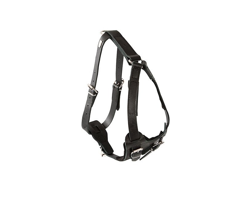 Ham profesional de lucru pentru caini confectionat din piele