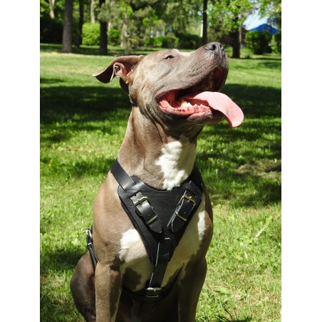 Ham profesional de lucru pentru caini confectionat din piele