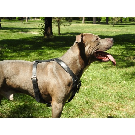 Ham profesional de lucru pentru caini confectionat din piele