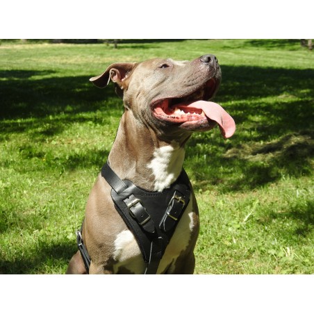 Ham profesional de lucru pentru caini confectionat din piele