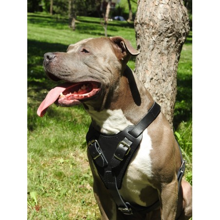 Ham profesional de lucru pentru caini confectionat din piele