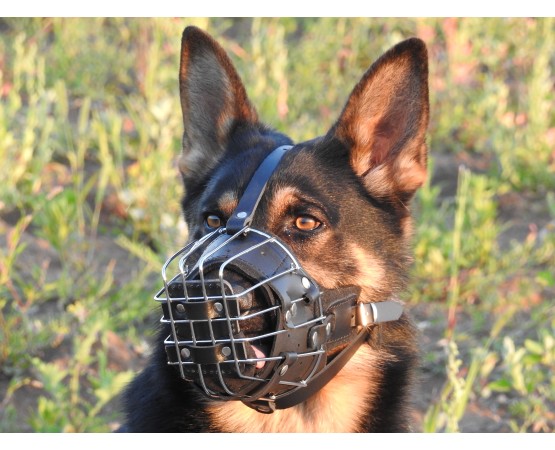 Botnita militara ciobanesc german