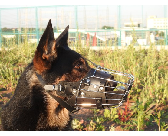 Botnita militara ciobanesc german prevazuta cu bite - bar