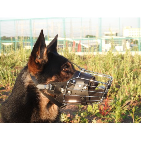 Botnita militara ciobanesc german prevazuta cu bite - bar