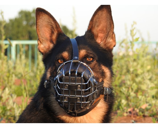 Botnita militara ciobanesc german prevazuta cu bite - bar