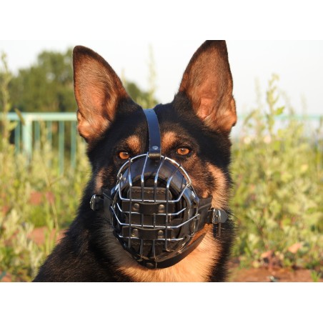 Botnita militara ciobanesc german prevazuta cu bite - bar