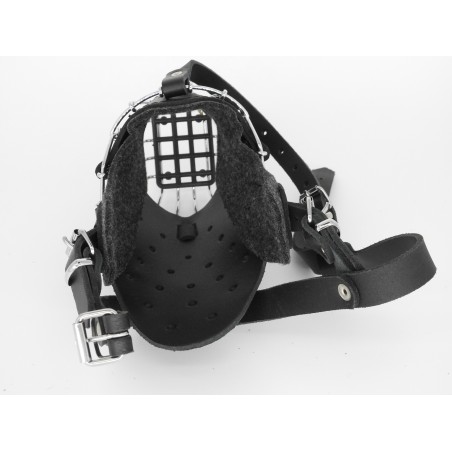 Botnita militara Malinois