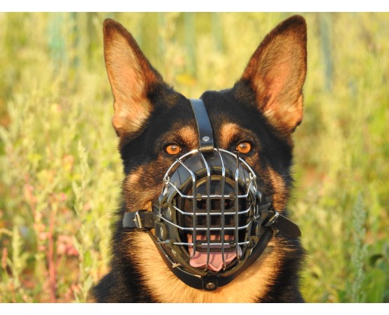 Botnita militara Ciobanesc German