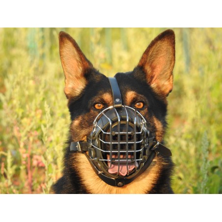 Botnita militara Ciobanesc German