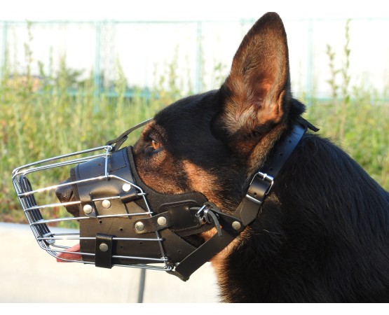 Botnita militara Ciobanesc German