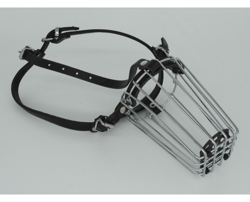 Botnita Border Collie & Spaniel & Fox Terrier