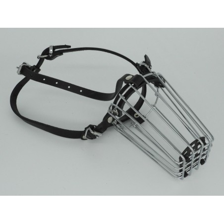 Botnita Border Collie & Spaniel & Fox Terrier