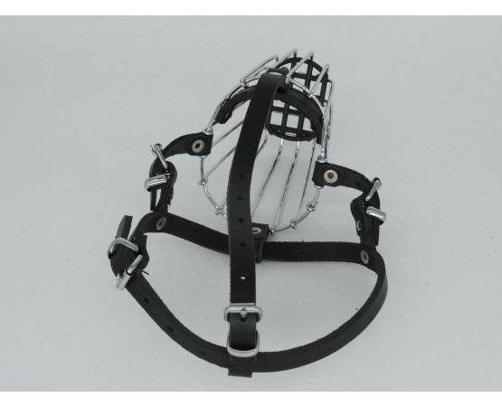 Botnita Border Collie & Spaniel & Fox Terrier