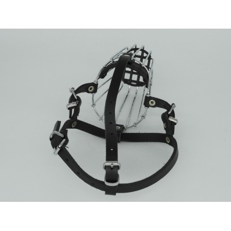 Botnita Border Collie & Spaniel & Fox Terrier