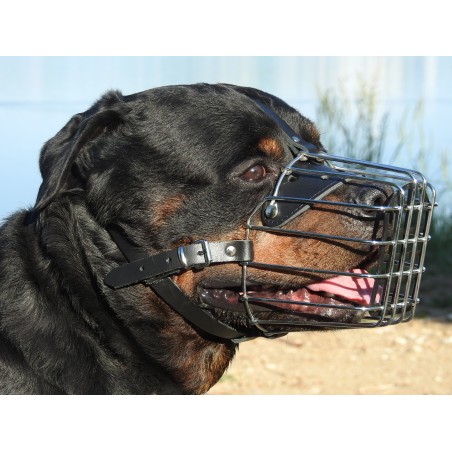 Botnita Rottweiler & Dog German