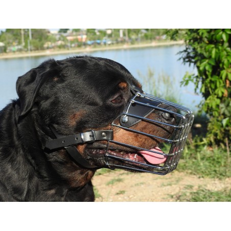Botnita Rottweiler & Dog German