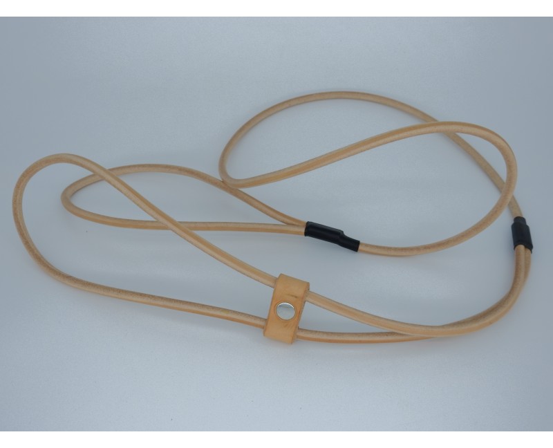 Lesa prezentare expozitii canine