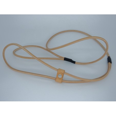 Lesa prezentare expozitii canine