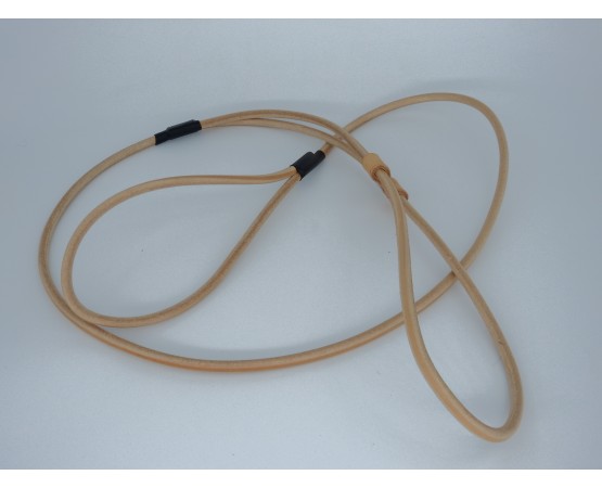 Lesa prezentare expozitii canine