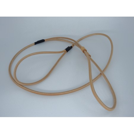 Lesa prezentare expozitii canine