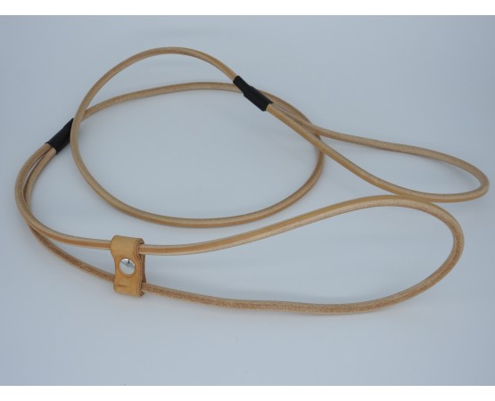 Lesa prezentare expozitii canine