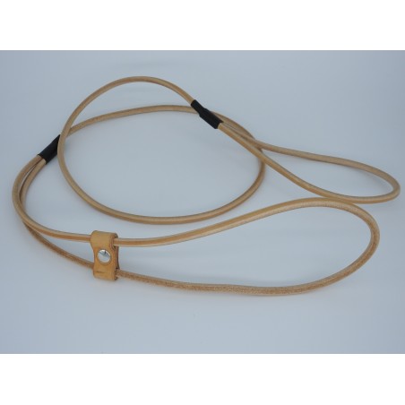 Lesa prezentare expozitii canine