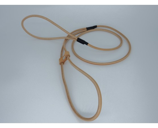 Lesa prezentare expozitii canine