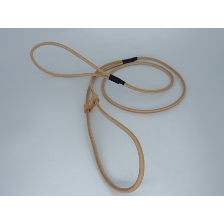 Lesa prezentare expozitii canine