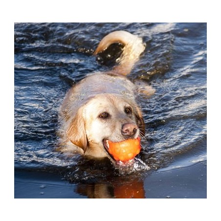 Jucarie interactiva pentru caini Jolly Jumper